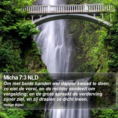 Micha 7:3 NLD Bible Verse Image
