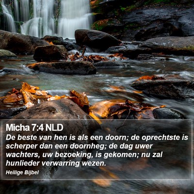 Micha 7:4 NLD Bible Verse Image