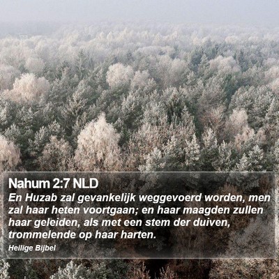 Nahum 2:7 NLD Bible Verse Image