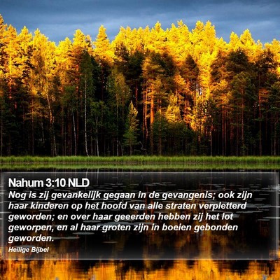 Nahum 3:10 NLD Bible Verse Image