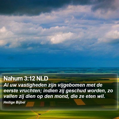 Nahum 3:12 NLD Bible Verse Image