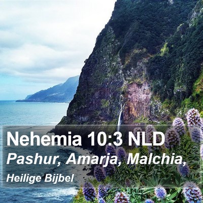 Nehemia 10:3 NLD Bible Verse Image