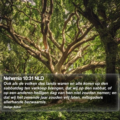 Nehemia 10:31 NLD Bible Verse Image