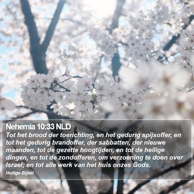 Nehemia 10:33 NLD Bible Verse Image