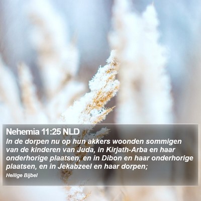 Nehemia 11:25 NLD Bible Verse Image