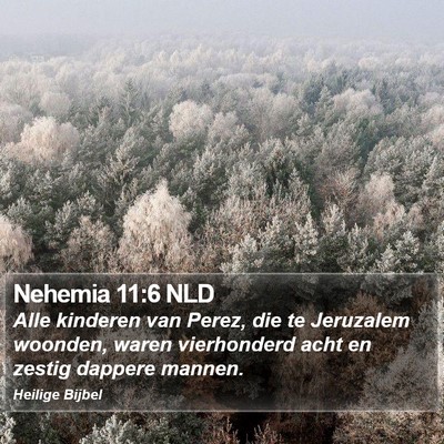 Nehemia 11:6 NLD Bible Verse Image