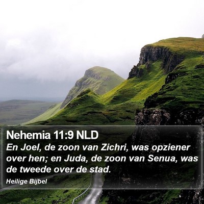 Nehemia 11:9 NLD Bible Verse Image