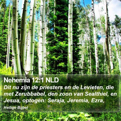 Nehemia 12:1 NLD Bible Verse Image