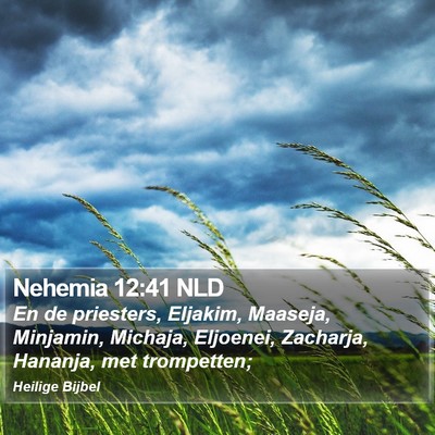 Nehemia 12:41 NLD Bible Verse Image