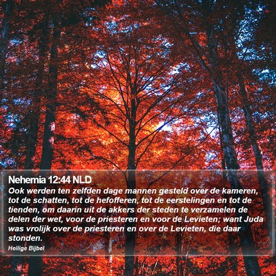 Nehemia 12:44 NLD Bible Verse Image
