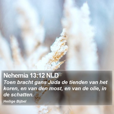 Nehemia 13:12 NLD Bible Verse Image