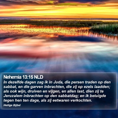 Nehemia 13:15 NLD Bible Verse Image