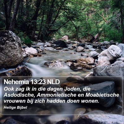 Nehemia 13:23 NLD Bible Verse Image