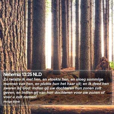 Nehemia 13:25 NLD Bible Verse Image