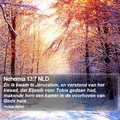 Nehemia 13:7 NLD Bible Verse Image