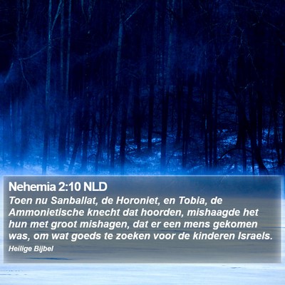 Nehemia 2:10 NLD Bible Verse Image