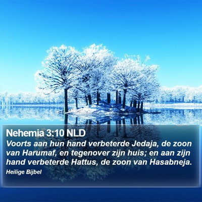 Nehemia 3:10 NLD Bible Verse Image