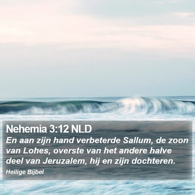 Nehemia 3:12 NLD Bible Verse Image