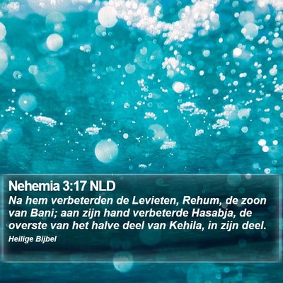 Nehemia 3:17 NLD Bible Verse Image