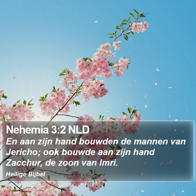 Nehemia 3:2 NLD Bible Verse Image