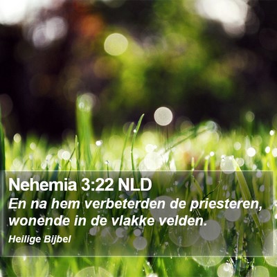 Nehemia 3:22 NLD Bible Verse Image
