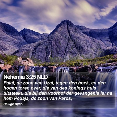 Nehemia 3:25 NLD Bible Verse Image