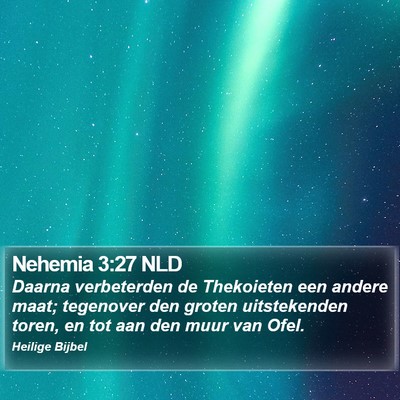 Nehemia 3:27 NLD Bible Verse Image