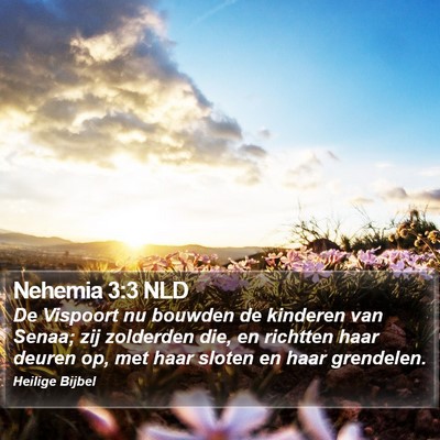 Nehemia 3:3 NLD Bible Verse Image