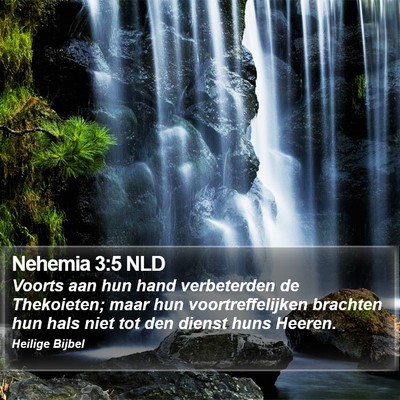 Nehemia 3:5 NLD Bible Verse Image