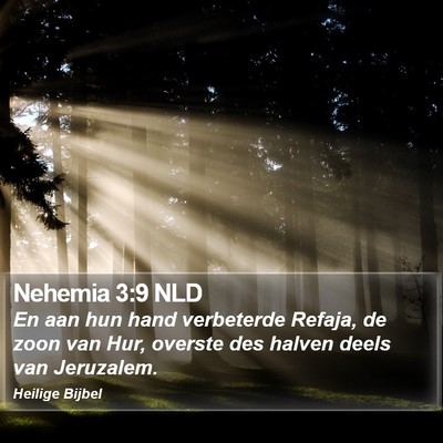 Nehemia 3:9 NLD Bible Verse Image