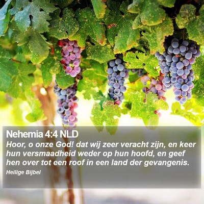 Nehemia 4:4 NLD Bible Verse Image