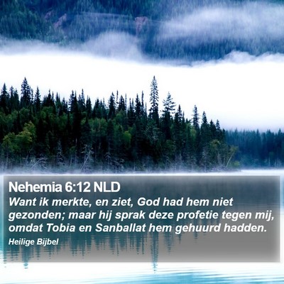 Nehemia 6:12 NLD Bible Verse Image