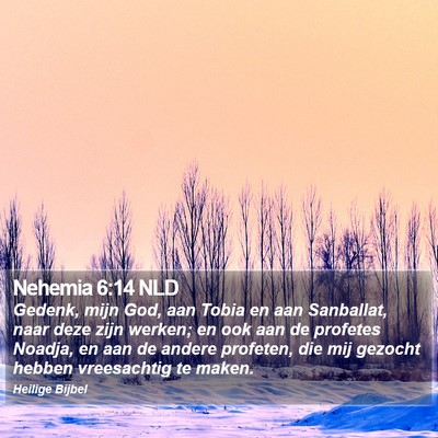 Nehemia 6:14 NLD Bible Verse Image