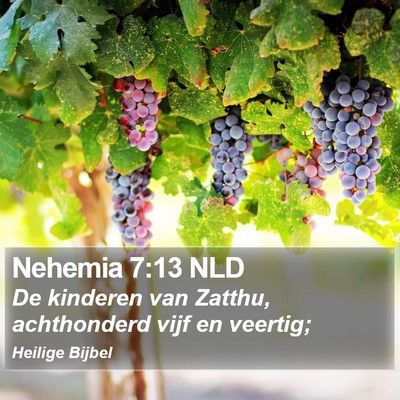 Nehemia 7:13 NLD Bible Verse Image