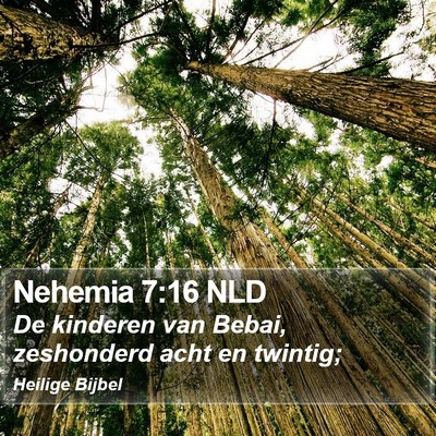 Nehemia 7:16 NLD Bible Verse Image