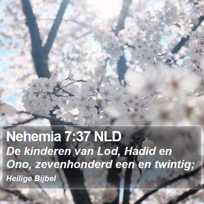 Nehemia 7:37 NLD Bible Verse Image
