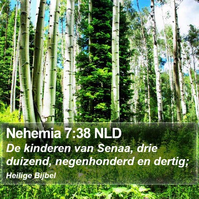 Nehemia 7:38 NLD Bible Verse Image