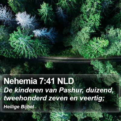 Nehemia 7:41 NLD Bible Verse Image