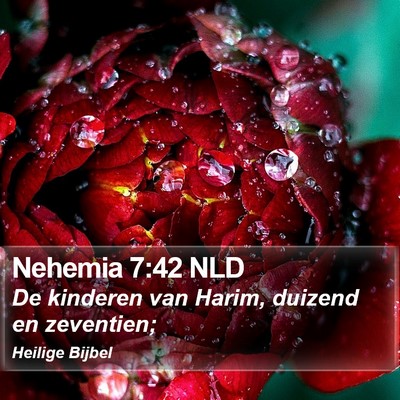 Nehemia 7:42 NLD Bible Verse Image
