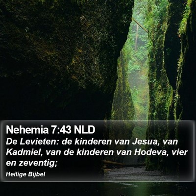 Nehemia 7:43 NLD Bible Verse Image