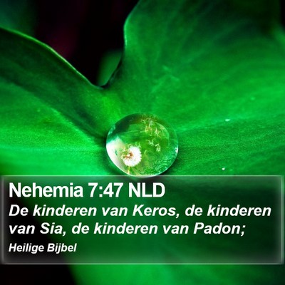 Nehemia 7:47 NLD Bible Verse Image