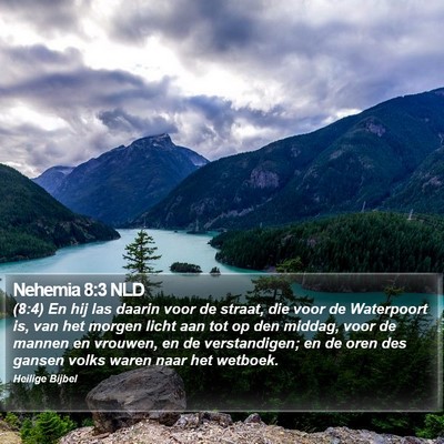 Nehemia 8:3 NLD Bible Verse Image