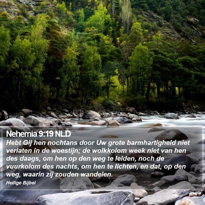 Nehemia 9:19 NLD Bible Verse Image