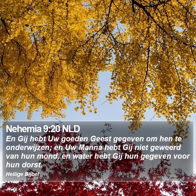 Nehemia 9:20 NLD Bible Verse Image