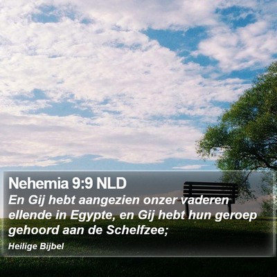 Nehemia 9:9 NLD Bible Verse Image