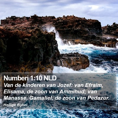 Numberi 1:10 NLD Bible Verse Image