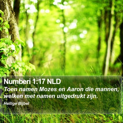 Numberi 1:17 NLD Bible Verse Image