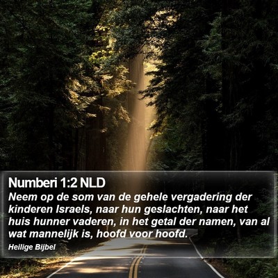 Numberi 1:2 NLD Bible Verse Image