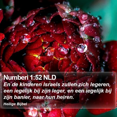 Numberi 1:52 NLD Bible Verse Image