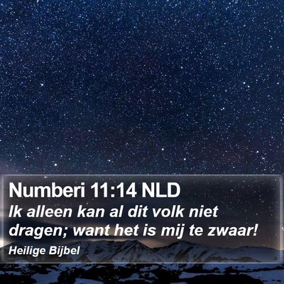 Numberi 11:14 NLD Bible Verse Image